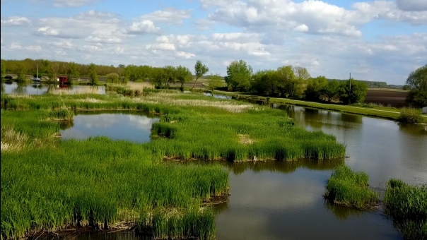 TOYOTA TITÁN Baráti Bojlis Kupa Reed Carp Lake