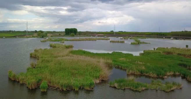 Horgászverseny - 2021.09.18-19 Egyéni Kupa 24 Órás - Reed Carp Lake