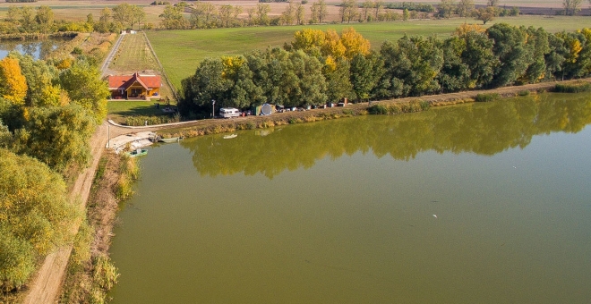 Tómajor Teszt Peca